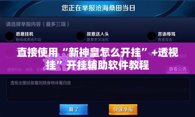 直接使用“新神皇怎么开挂”+透视挂	”开挂辅助软件教程