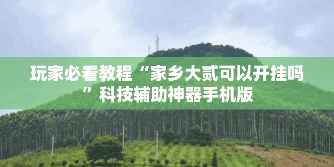 玩家必看教程“家乡大贰可以开挂吗”科技辅助神器手机版