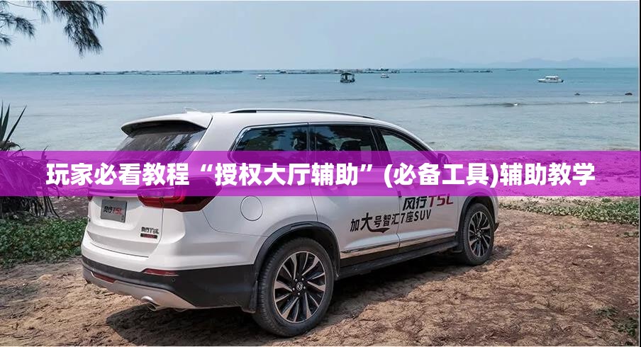 玩家必看教程“授权大厅辅助”(必备工具)辅助教学