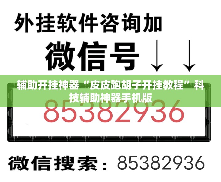 辅助开挂神器“皮皮跑胡子开挂教程”科技辅助神器手机版