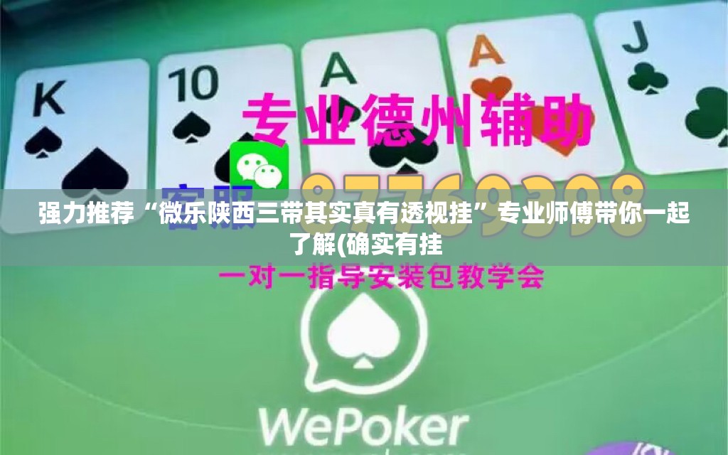 直接使用“新神皇怎么开挂”+透视挂”开挂辅助软件教程