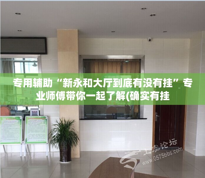 专用辅助“新永和大厅到底有没有挂”专业师傅带你一起了解(确实有挂