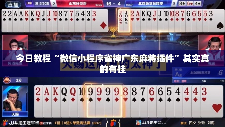 直接使用“越乡游十三张到底有没有挂”+透视挂”开挂辅助软件教程