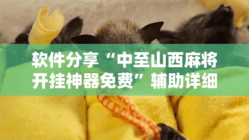 软件分享“中至山西麻将开挂神器免费”辅助详细步骤与使用技巧