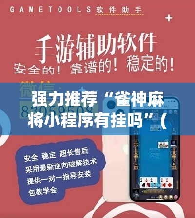 直接使用“越乡游十三张到底有没有挂”+透视挂”开挂辅助软件教程