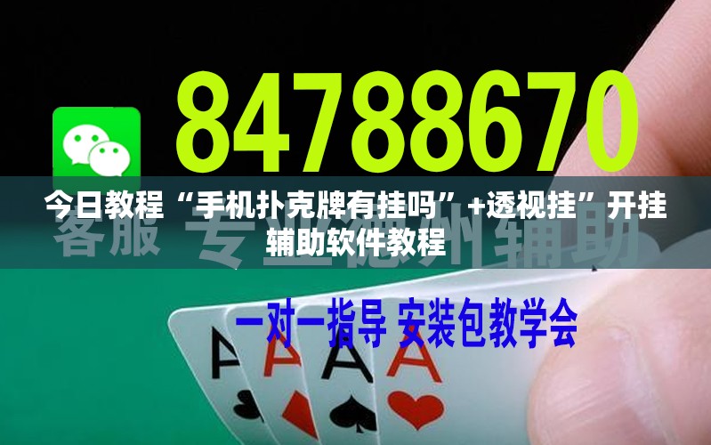 直接使用“越乡游十三张到底有没有挂”+透视挂”开挂辅助软件教程