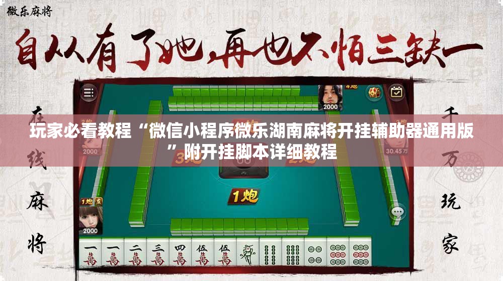 玩家必看教程“微信小程序微乐湖南麻将开挂辅助器通用版”附开挂脚本详细教程